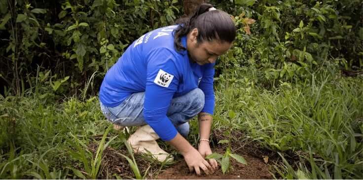 woman planting trees woman planting trees
